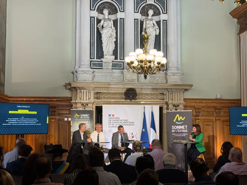 Conference
