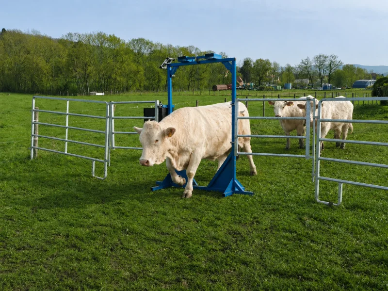 LUTTE-VECTO - Autonomous gateway for dispensing bio-repellents for cattle