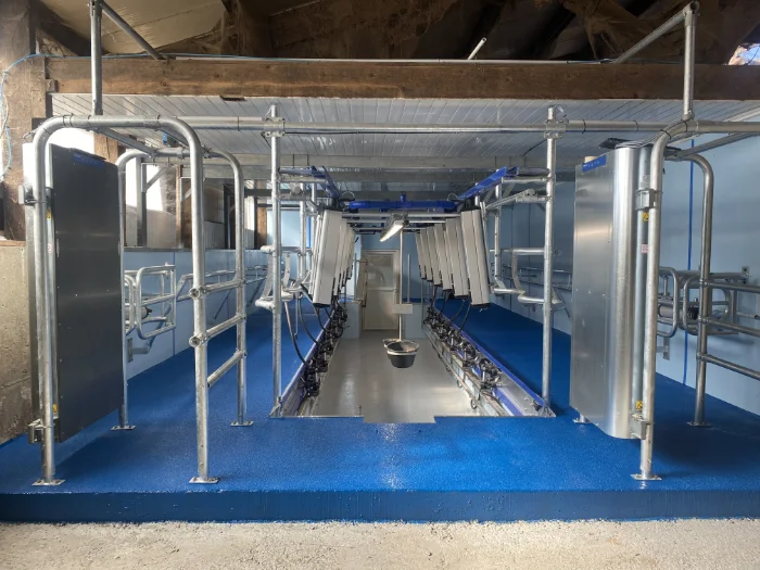 Milking parlor renovation between milking sessions