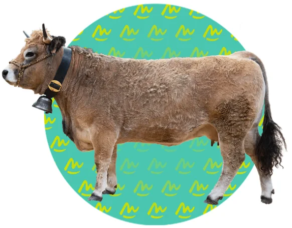 Présentation AUBRAC
