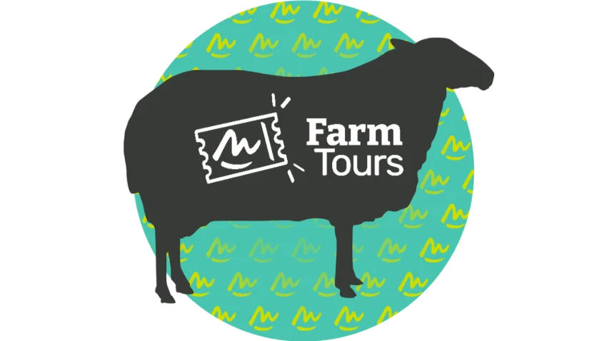 4 - Blanche du Massif Central sheep farm + Sheep genetic station visits