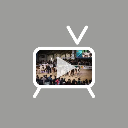 La Web TV du Sommet